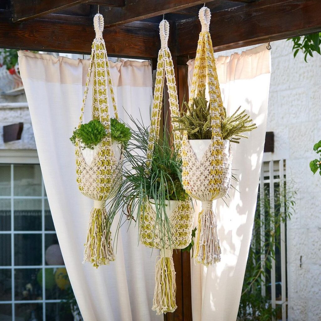 A Row Of Plants In Varying Macrame Hangers