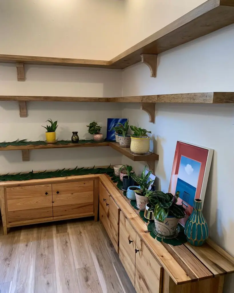 Living Room Corner Plant Shelf