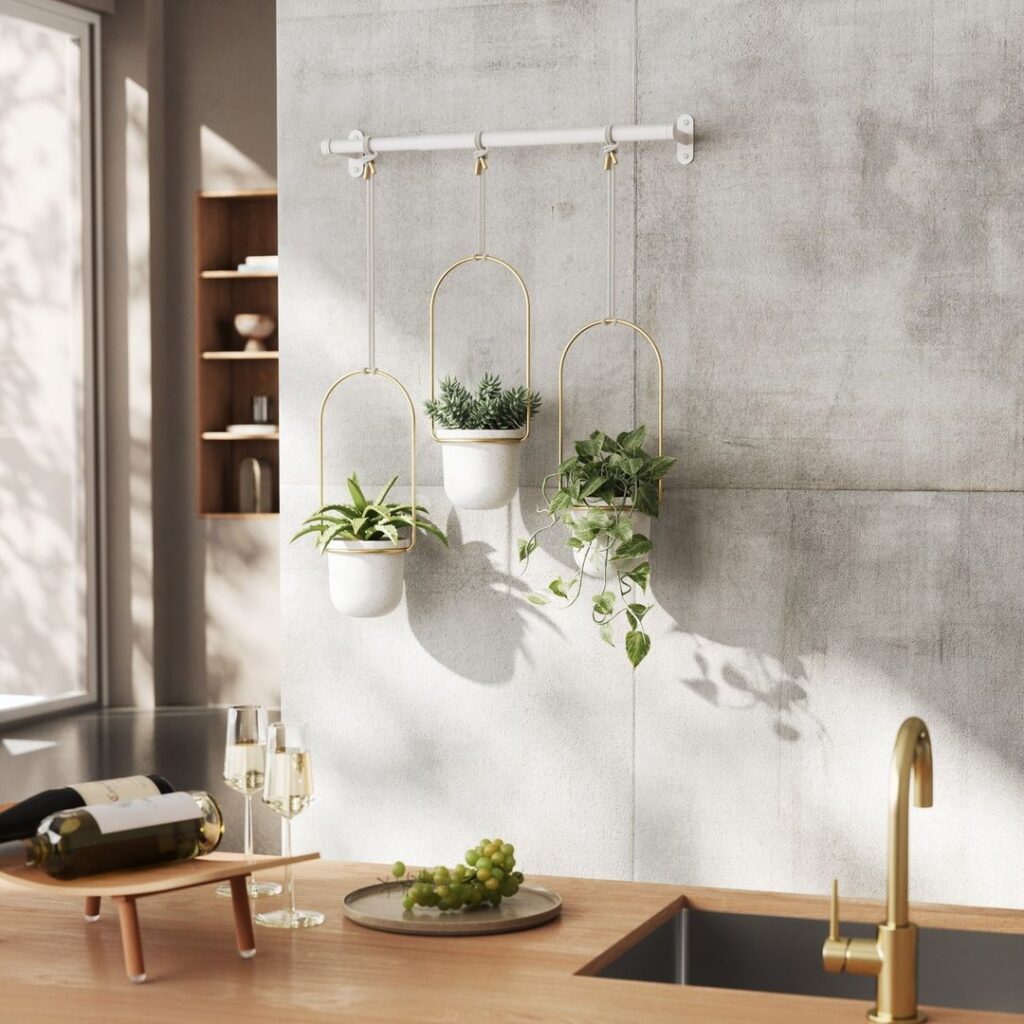 Modern Kitchen Wall Decor with Hanging Plants