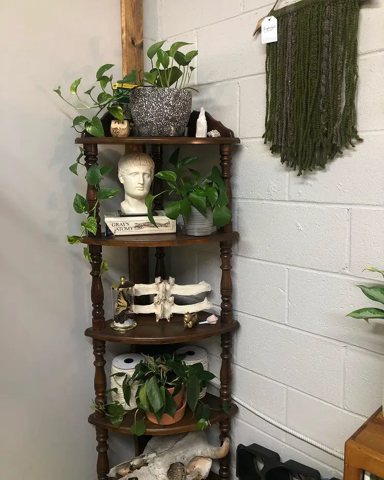 Planter's Perch Shelf